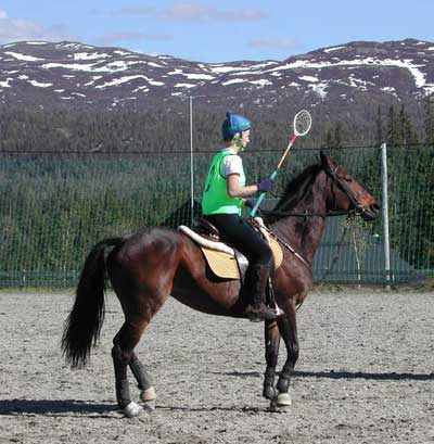 Photo Jeux Equestres 2