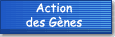 Robes et Génétique : Actions des Gênes
