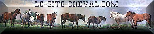 Le site Cheval